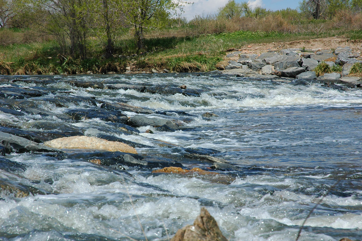 South Platte River Downstream Of Robert W. Hite Treatment Facility
