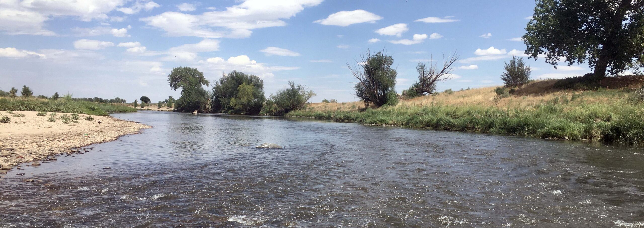 the South Platte River flowing with trees on the banks