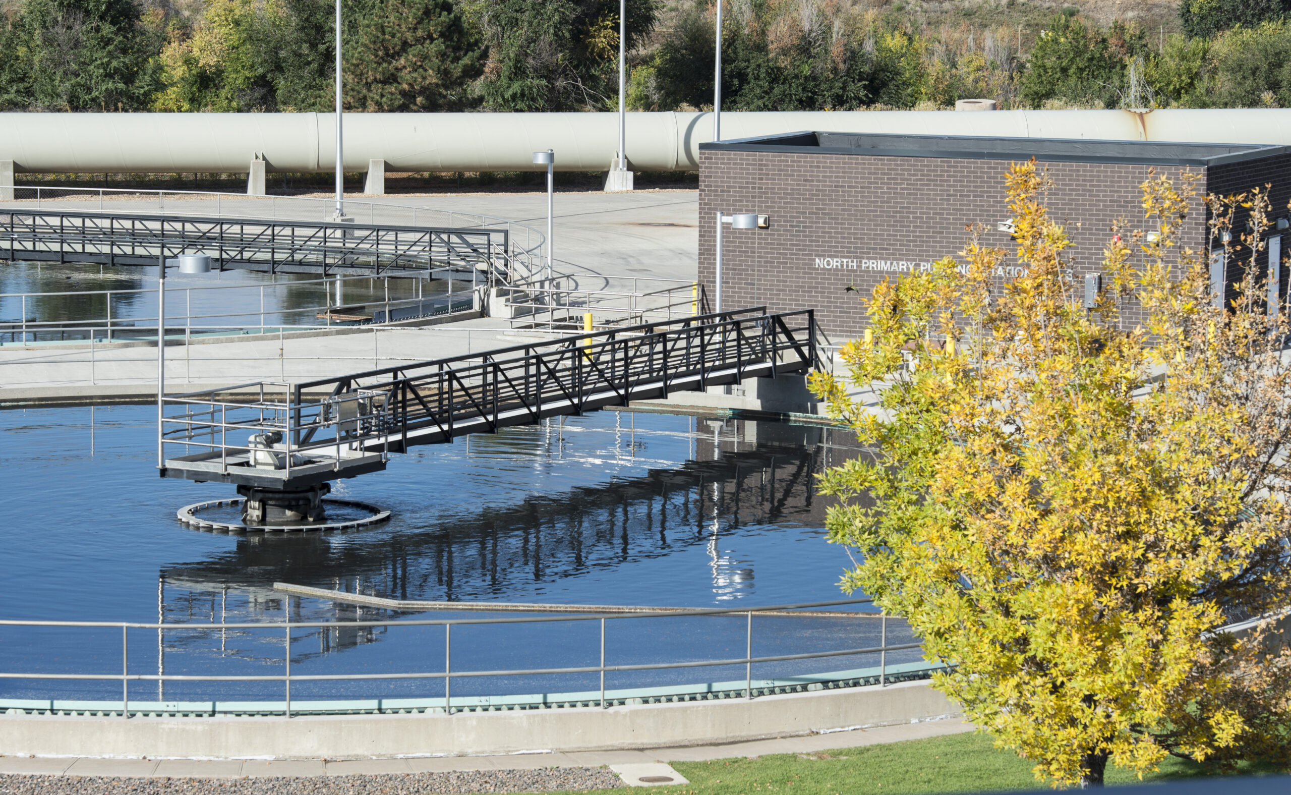 A primary clarifier framed by a yellow tree in autumn at Metro's Robert W. Hite Treatment Facility