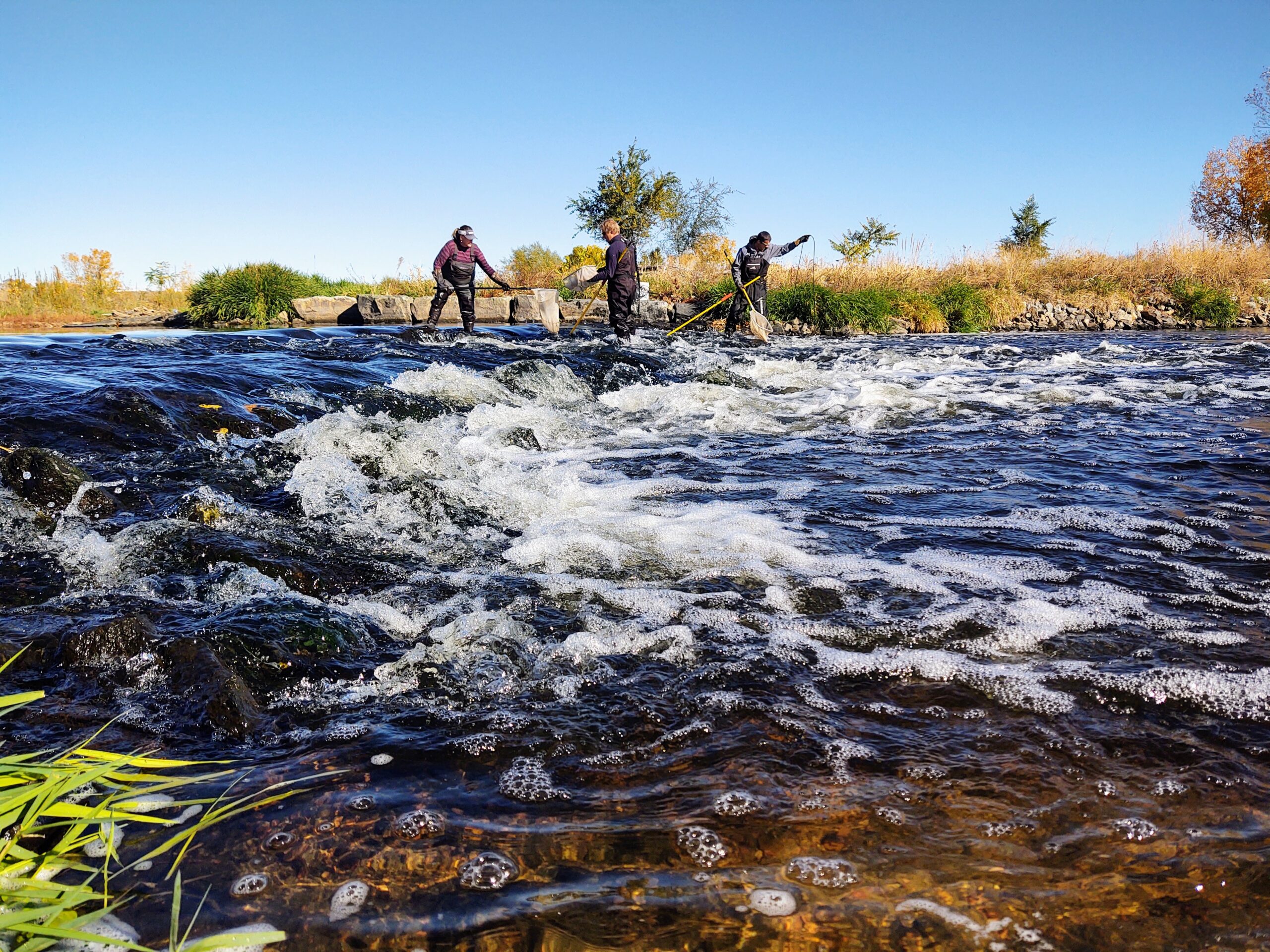 Surveyors conduct a survey in a river