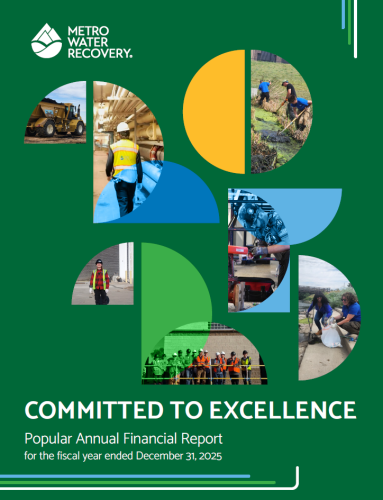 2025 PAFR cover committed to Excellence