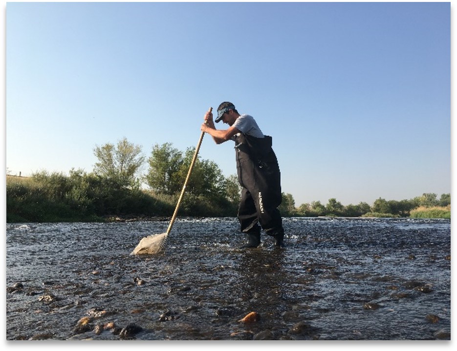Senior Water Quality Scientist Jordan Parman in a section or river with a kick-net to collect aquatic life samples.